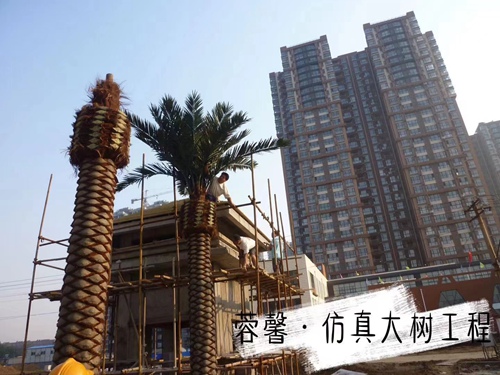 日皮软件免费大樹